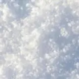 김민유