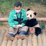 대만