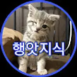 지식