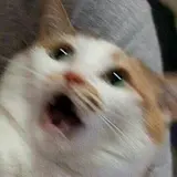 김가현