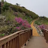 신혜영