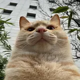 이예서