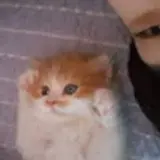 집사코딩