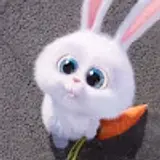 da