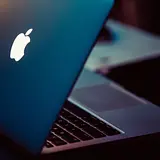박믿음