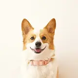 김우희