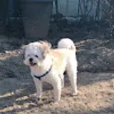 최영재