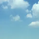 박진수