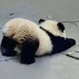 강석호