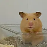 서원주