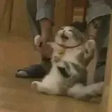 이혜준