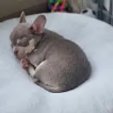 심민석