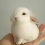 이희정