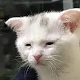 란조