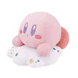 김보둥