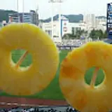 홍지원