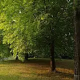 라비에벨