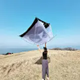 장지선