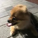 박선호
