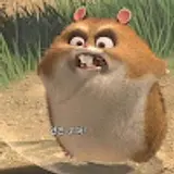 박채윤