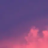 고니