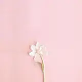 신영우
