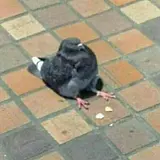 윤근수