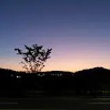 조가영