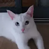 함종환