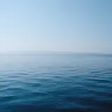 이연후