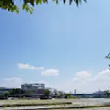 하늘나무윤