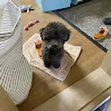 위민우