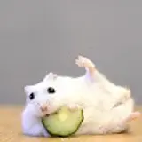 김세진