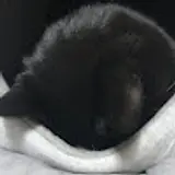 오승희