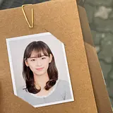 정현정