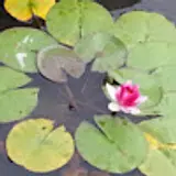 함일