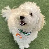 엄상호