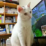 김성철