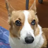 뿌빈