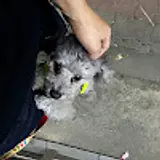 홍정욱