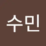 손수민