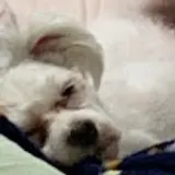 김희진