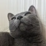 황수영