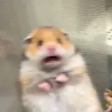 HUYA 