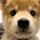 황지훈