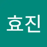 홍효진