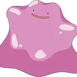 박하은