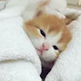 김민정