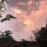 김지훈