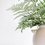 서성주